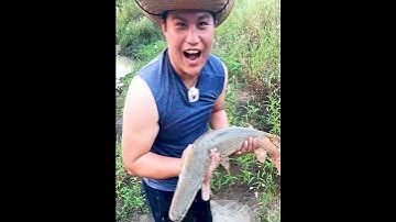 Liệu Chài Cá Có Hiệu Quả Hơn Câu Mồi Giả Hay Không?