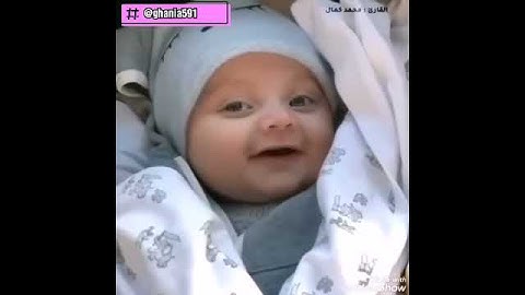 القارئ : محمد كمال 🥰🌹