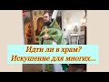 Вход Господень во Иерусалим. Вербное воскресение.