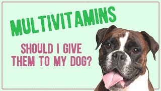 Multivitamins - Should I Give Them to My Dog?