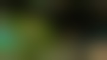 League Highlight: FUCK YOU! I