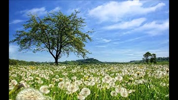 سورة البروج بصوت القارئ أحمد سعود HD