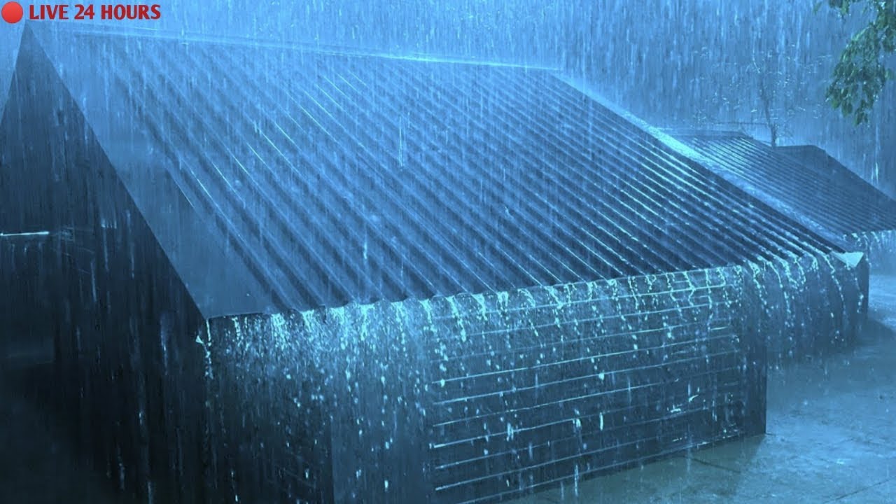 Goodbye Stress to Sleep Instantly with Heavy Rain & Thunder on Old Metal Roof in Rainforest Night.🌧️