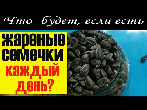 Что будет если есть жареные семечки каждый день? Вред и польза! Жареные семечки подсолнуха!