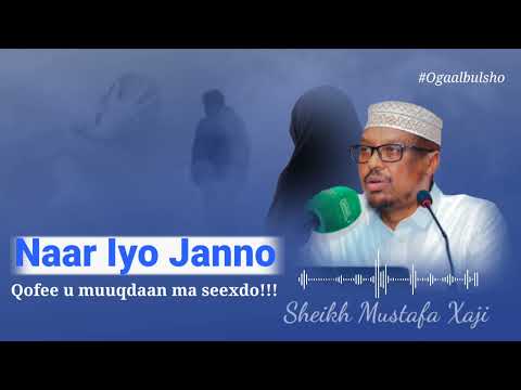 Naar Janno Qofee U Muuqdaan Ma Seexdo Kalimad Qalbigaga Sameyn Doonta Sh Mustafe OGAALBULSHO