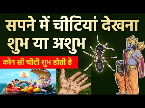 वीडियो: केएनक्यू एसोसिएट्स द्वारा स्टाइलिश पंगगोल ड्राइव निवास