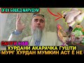 БИНЕД ХУРДАНИ ГУШТИ МУРГ ВА АКАРАЧКА МУМКИН АСТ Ё НЕ! ДОМУЛЛО АБДУРАХИМ 2021