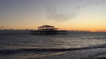 Starling Murmuration Brighton West Pier