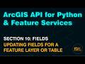 Update Fields in a Feature Layer or Table in ArcGIS Online with the ArcGIS API for Python
