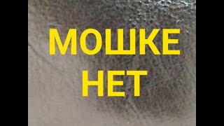 Как защитить себя от мошки