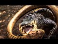 Giant Snake VS Alligator | Lake Placid vs. Anaconda