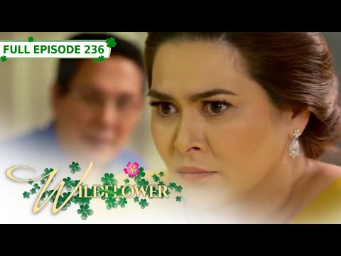 Full Episode 236 Wildflower With ENG SUB Maja Salvador Joseph Marco RK Bagatsing