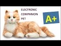 Companion Pet for Seniors and Others! - Hasbro Joy For All Cat