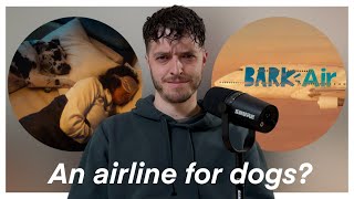 BarkBox Launches an Airline for Dogs?!
