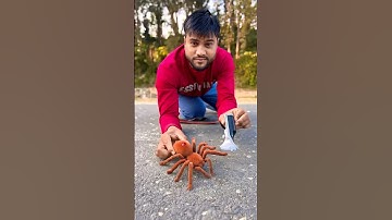 Dekho Realistic RC Spider🕷️unboxing😲