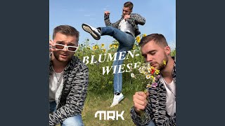 Video thumbnail of "MRK - Blumenwiese"