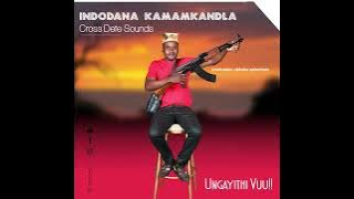 Izifiso ezinengi. 2025