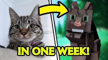 I Added Pet Cats to My Open World Game