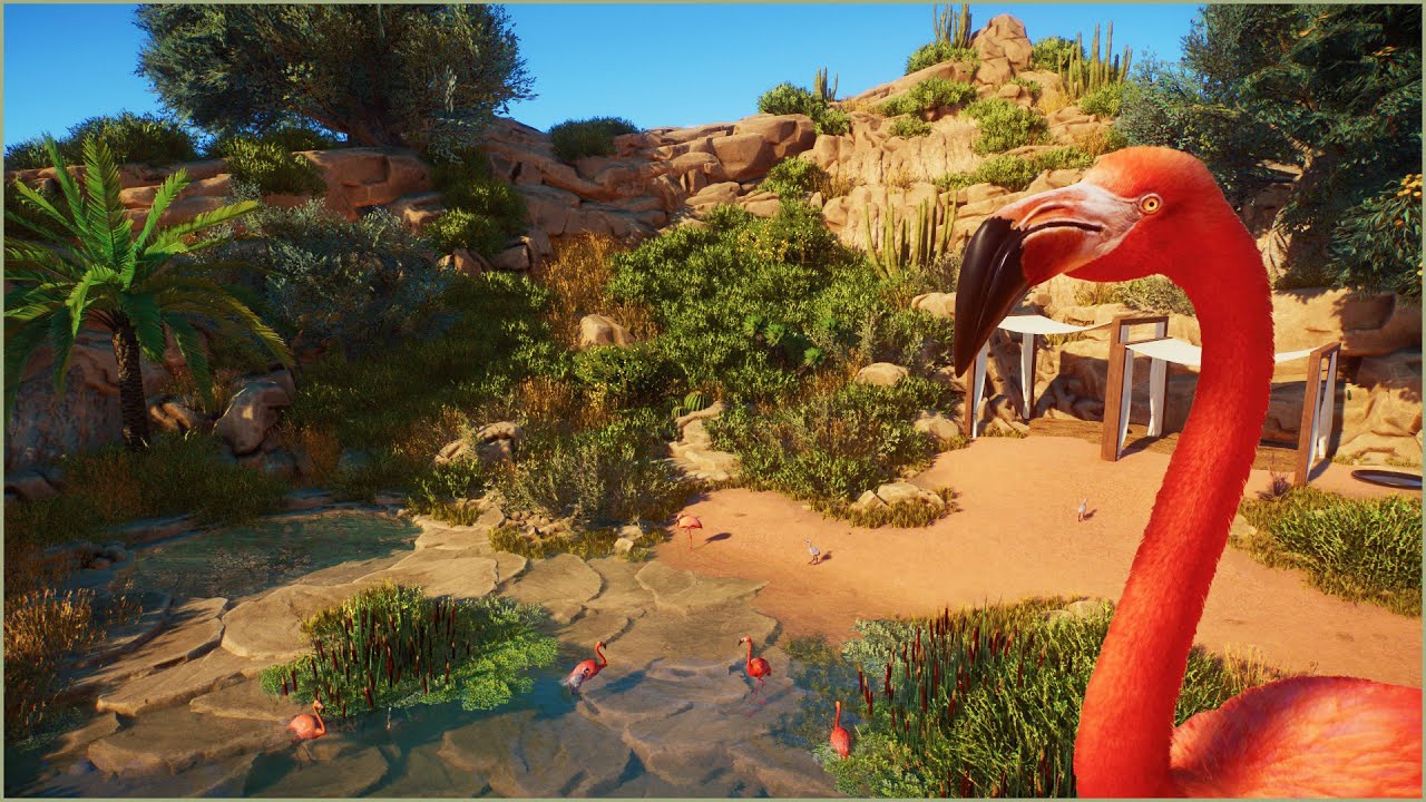 🦩 Relaxing American flamingo habitat in the desert | Majah Zoo | Planet Zoo | speedbuild 🌵