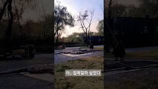 해는 넘어가고 집에가고싶었다. 난지캠핑장 D구역 나홀로피칭 포레스트3