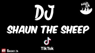 DJ SHAUN THE SHEEP x MEOW MEOW TIK TOK VIRAL 2020 || BAGAS  ZA