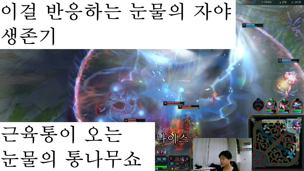 이걸 반응하는 자야 눈물의 통나무 쇼 제발 내 말 좀 들어줘... #leagueoflegends #리그오브레전드 #자야 #유미 #롤