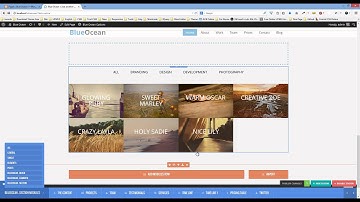 How to create Portfolio section [BlueOcean One Page Wordpress Theme]