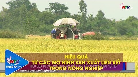 HIỆU QUẢ TỪ CÁC MÔ HÌNH SẢN XUẤT LIÊN KẾT TRONG NÔNG NGHIỆP