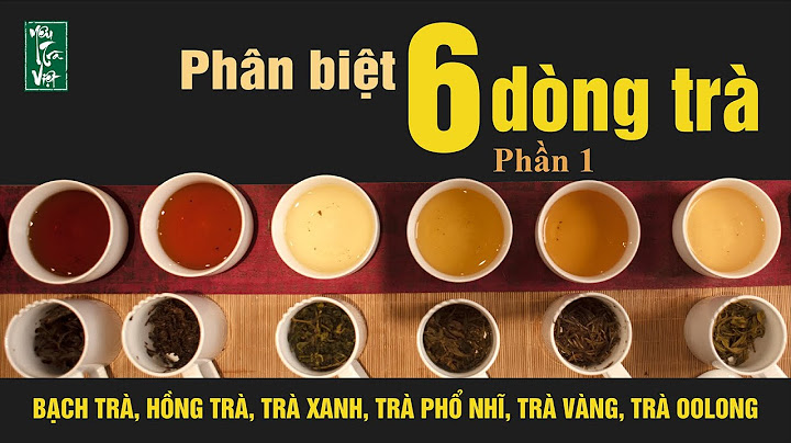 So sánh chè xanh đỏ vàng đen năm 2024