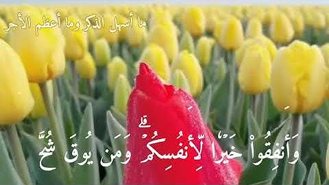 قرآن كريم سورة🌸 التغابن// بصوت❤ رعد الكردي💮|| حالات واتس اب دينيه 💌