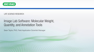 Image Lab Software: Molecular Weight, Quantity and Annotation Tools