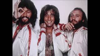 The Bee Gees   \