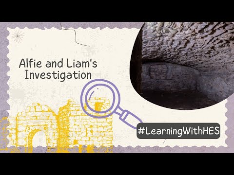 Alfie and Liam's Investigation