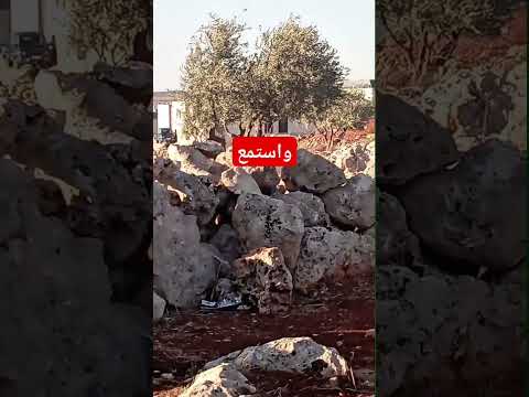 واستمع يوم ينادي المنادي من مكان قريب