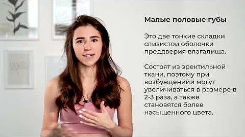 Вульва - что это такое и как она устроена?