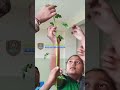 Growing Young Minds with Hands-On Learning with Nature 🌱| Green Valley Global School #school #bng
