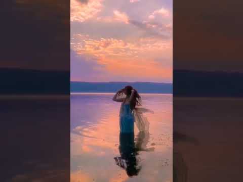 فراشة جئت ألقي كحل أجنحتي لديك فاحترقت ظلما جناحاتي كاظم الساهر انا وليلى