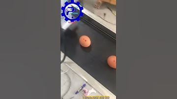 MÁY IN DATE QUẢ TRỨNG TỰ ĐÔNG -- TELL/ZALO 0589 005 999