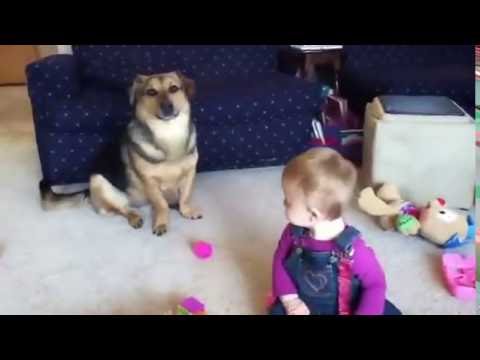 funny-video-of-baby-and-dog