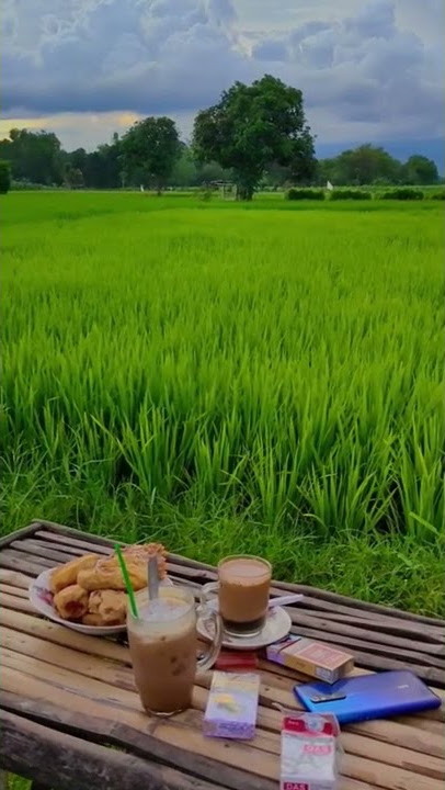 Ngopi Pinggir Sawah #shorts #satru2