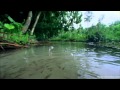 Enigma - Return To Innocence Tradução