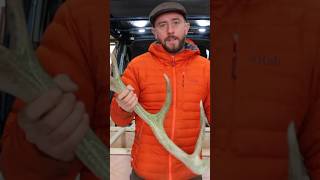 Turning a red deer antler into draw handles for my camper van 🦌 🚐 #vanbuild #antlers #craft