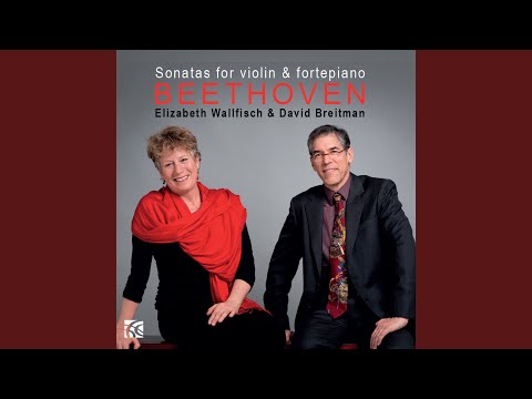 Violin Sonata No. 8 in G Major, Op. 30 No. 3: III. Allegro vivace