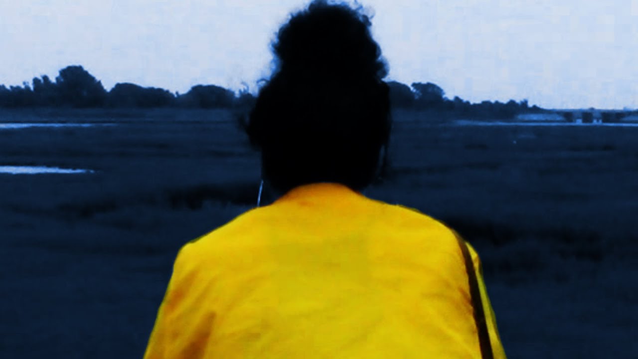 47. Signal Disruptor