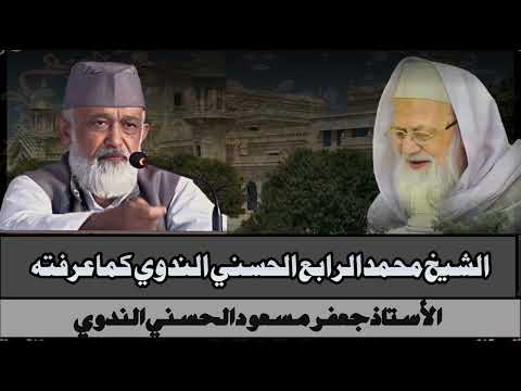 الشيخ محمد الرابع الحسني الندوي كما عرفته الأستاذ جعفر مسعود الحسني الندوي