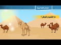 مقدمة في الأنظمة البيئية الصف الرابع الابتدائي