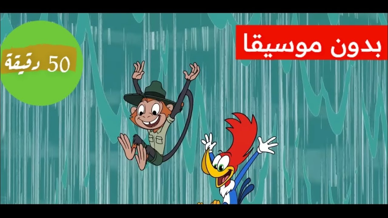 نقار الخشب بدون موسيقى | جديد | 50 دقيقة?