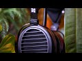 Hifiman arya organic review  the best arya