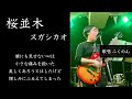 【弾き語りカバー】桜並木/スガシカオ@ライブイベント「開口」