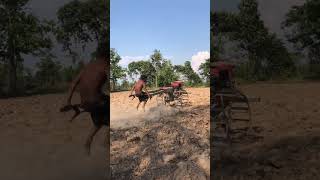 ការងារប្រចាំថ្ងៃ